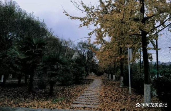 正月十四有哪些习俗 传统智慧指引新春祈愿