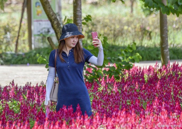 打卡旅游：追求独特体验的新兴文化