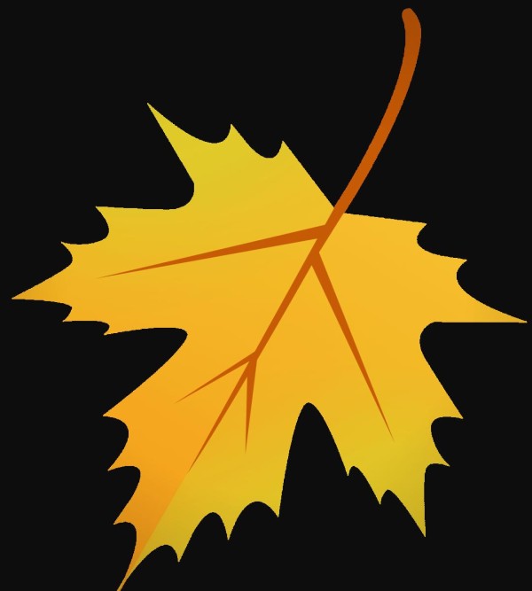 秋季干燥来袭：天气变化与应对小贴士