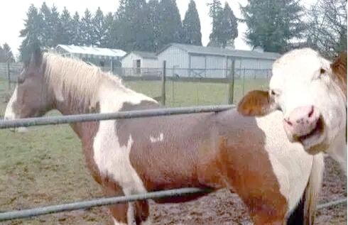 幸福感的来源：为何我们总是“比下有余”？