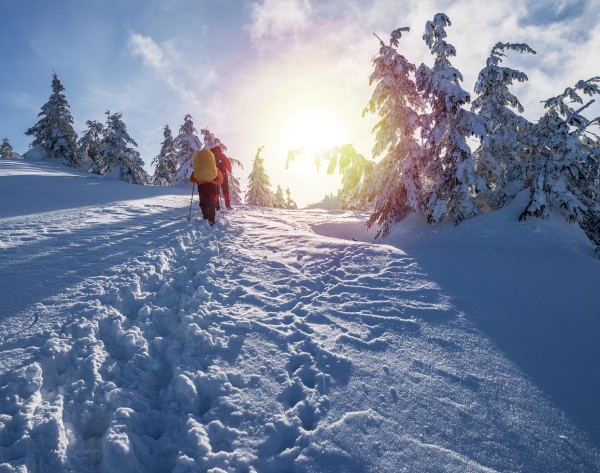 冬日魅力：探索适合冬季的户外精彩活动