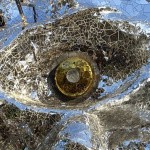 Nuit des Musées 2023 autour du Cyclop de Jean Tinguely et Nikki de Saint Phalle, en Essonne (91)