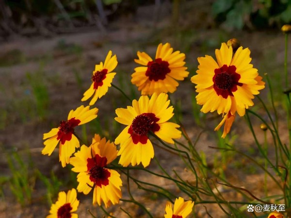 拥有幸福安心的退休生活：需要具备5个基本条件，做到哪一个都受益匪浅