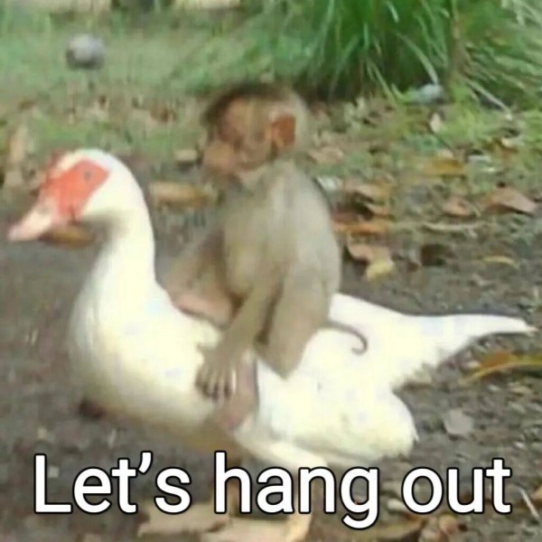 梁朝伟主演《寂静的朋友》发布预告；《权力的游戏》开发电影