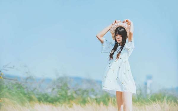 有哪些成功案例？