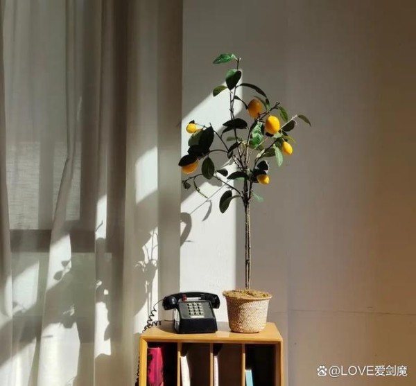 最高级的活法，是把日子过成“充实”的模样