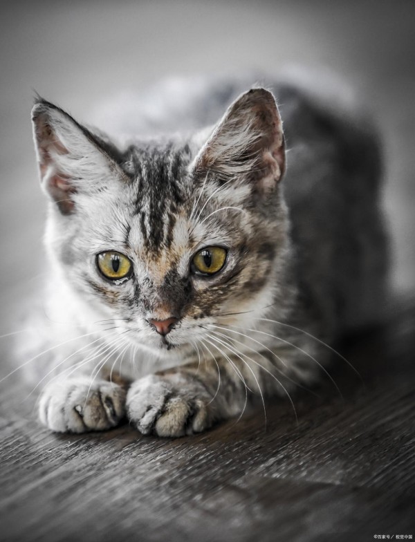 生活质量提升指南：改变你人生的实用建议