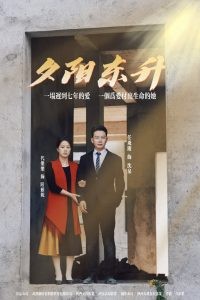 夕阳东升 高清完整版 键 电影天堂ok电影