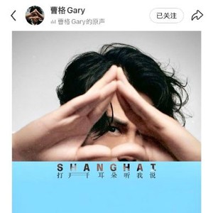 曹格演唱会的宣传策略对艺人形象和粉丝关系产生了什么影响？