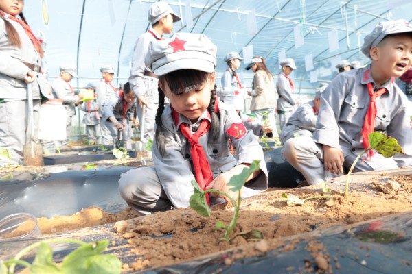 永和红军小学师生索驼村实践劳动教育，体验田园生活乐趣