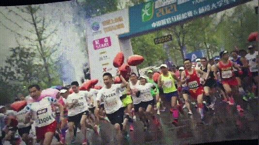 给你不一样的赛事体验！“杨马”亮点抢先看