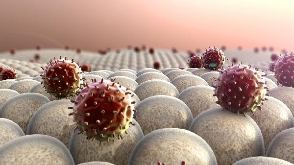 体检白细胞偏高的原因是什么