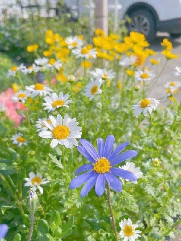 28个忍不住摘抄的人生哲理，句句充满智慧，渡人无数！