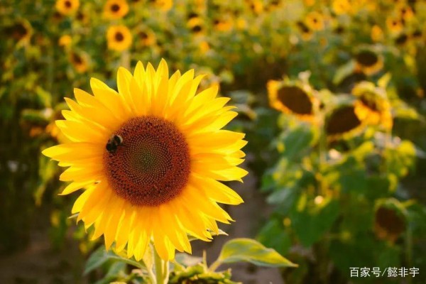 5种积极心态，决定了人生的状态