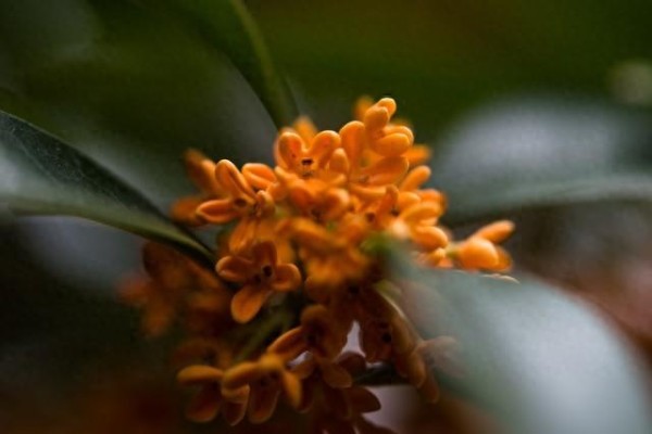 “目光放远，万事皆悲”：读懂后半句，才算活通透了