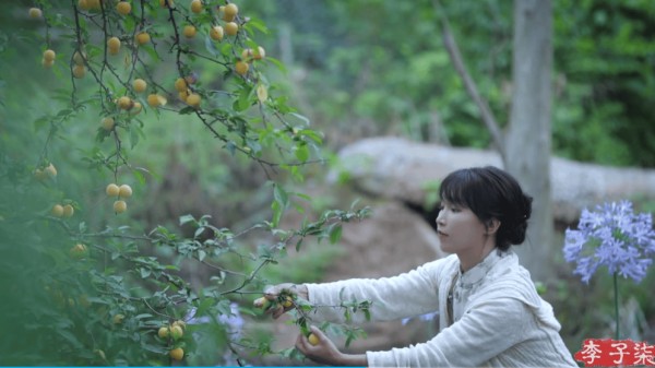 跟李子柒学“节气美学”：与大自然同频
