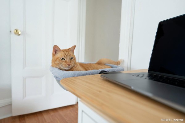 因为懒，所以找的工作越来越轻松？