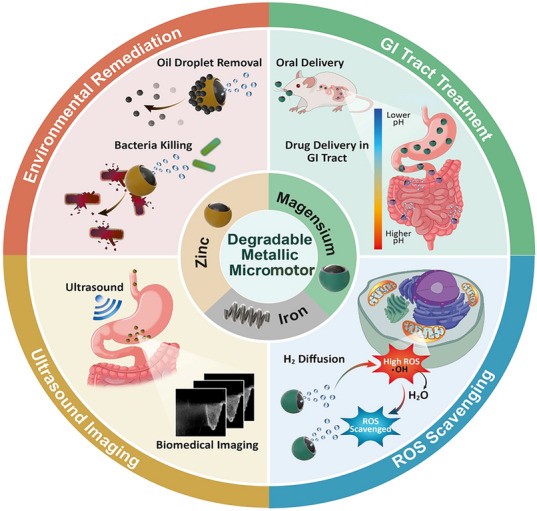 graphic file with name 40820_2023_1259_Figa_HTML.jpg