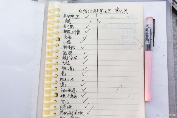 365天手账奇迹：年终总结为何总能有料？秘密揭晓！