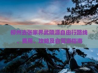 柳州去张家界武陵源自由行