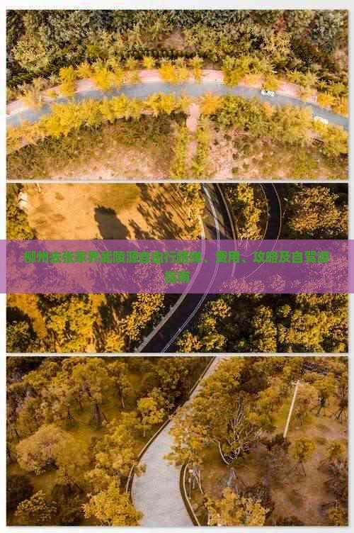 柳州去张家界武陵源自由行