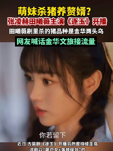 田曦薇剧里杀的猪是金华两头乌