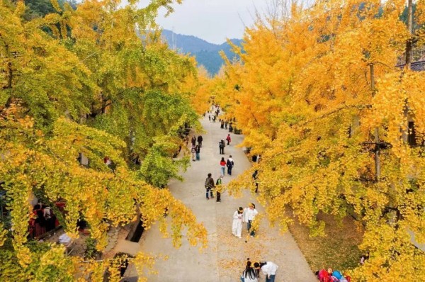 自驾游新玩法！广东服务区变身“打卡地”