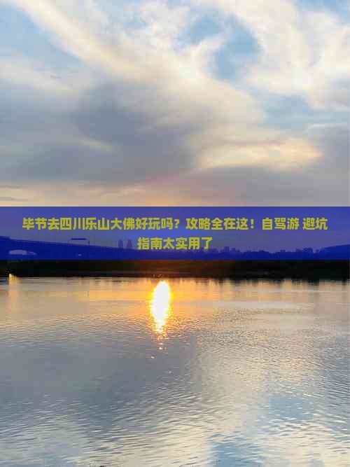 毕节去四川乐山大佛个人游