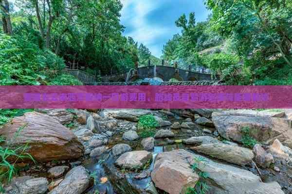 楚雄去云南西双版纳一日游费用、路线及自驾游指南与距离解析