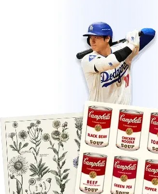 shohei ohtani, plants, andy wharhol art