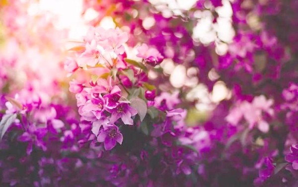 科技产品如何成为生活中的神器