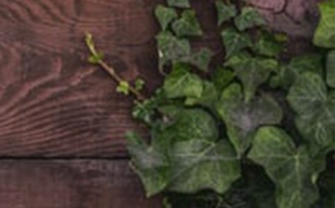 心理健康：如何建立和谐的人际关系？