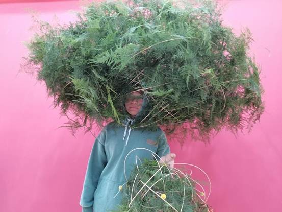 说明: c2243c13fb0fb381beba81f09b0a04a