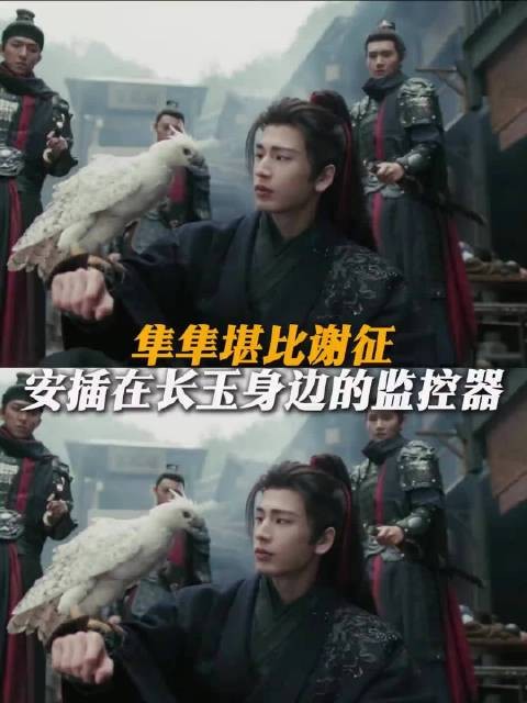 集集堪比谢征安插在长玉身边的监控器 逐玉
