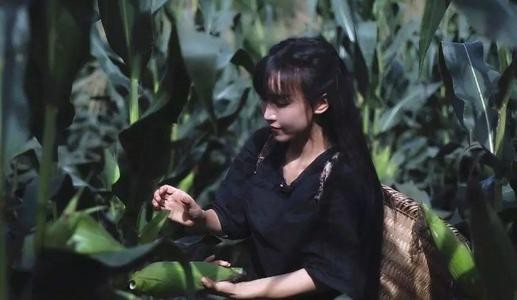 网红主播有哪些人（网红主播排行榜前十名）