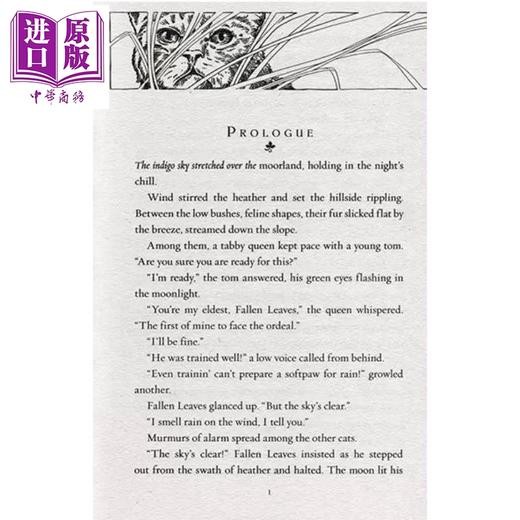 【中商原版】猫武士三部曲三力量6册 赠音频 620~770L Warriors Power of Three 英文原版 传奇的猫族成长励志 儿童文学桥梁章节书小说 商品图2