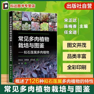 常见多肉植物栽培与图鉴 拟石莲属多肉植物 拟石莲花属品种大全 多肉植物养护指南 繁殖方法与病虫害防治 多肉爱好者新手入门教程