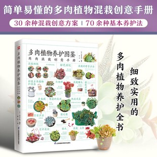正版包邮 多肉植物养护图鉴肉肉混栽创意手册 多肉选苗混栽阳台种花养殖法新手养多肉装饰养护技巧指南书籍