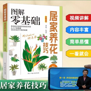 图解零基础居家养花技巧民主与建设出版社普及花卉相关养护知识花卉资料培植方法养花技巧视频讲解指南草木植物栽培木本多肉植物