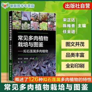 常见多肉植物栽培与图鉴 拟石莲属多肉植物 拟石莲花属品种大全 多肉植物养护指南 繁殖方法与病虫害防治 多肉爱好者新手入门教程