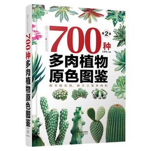700种多肉植物原色图鉴 版 多肉鉴赏和养护科普书 内容专业 新手指南 意成著 9787571302542 江苏凤凰科学技术出版社