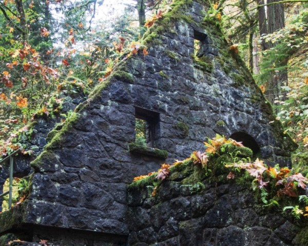 stone building covered in green moss and colorful fall leaves