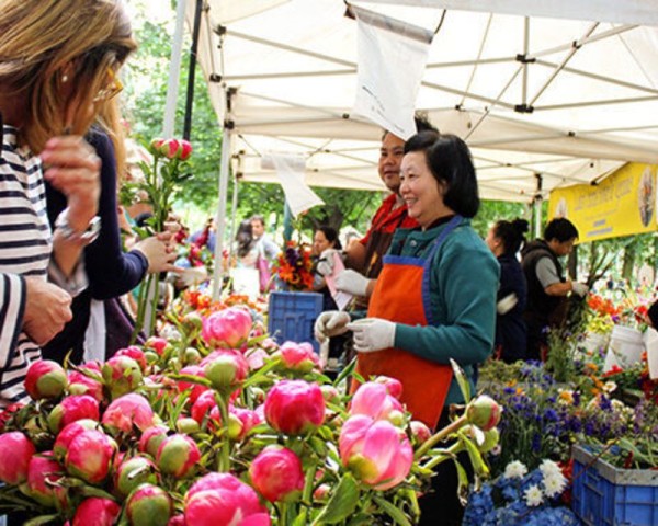 woman looking at flowers for sale