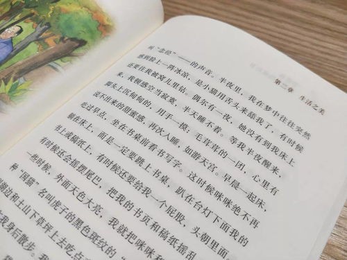 幼儿教育读本，启迪智慧，滋养心灵