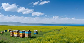 【中国景点大全】中国旅游景点介绍,中国著名旅游景点排名