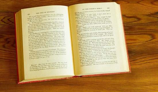 阅读的快乐作文300字三篇