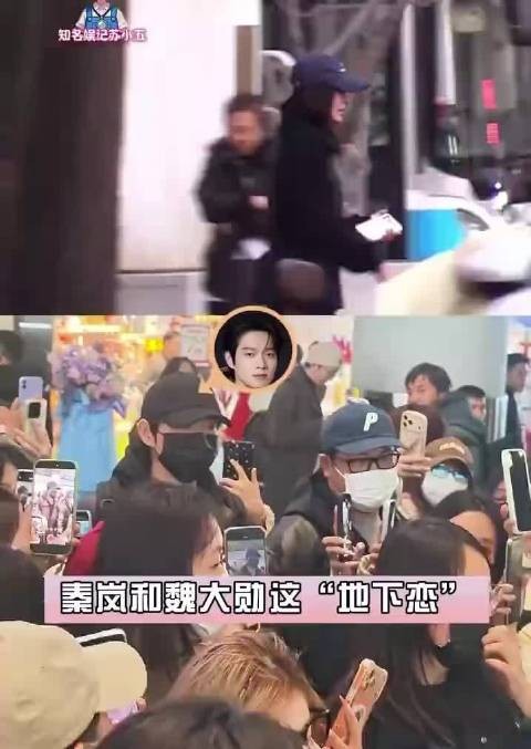 秦岚魏大勋同回小区，此前双方粉丝互诉