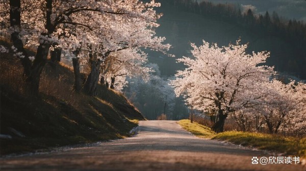 一定要大量读书:一个人要往上走,建议死磕这8本书