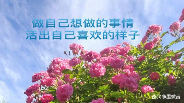 人生最大的乐趣，是做自己想做的事情，活出自己喜欢的样子