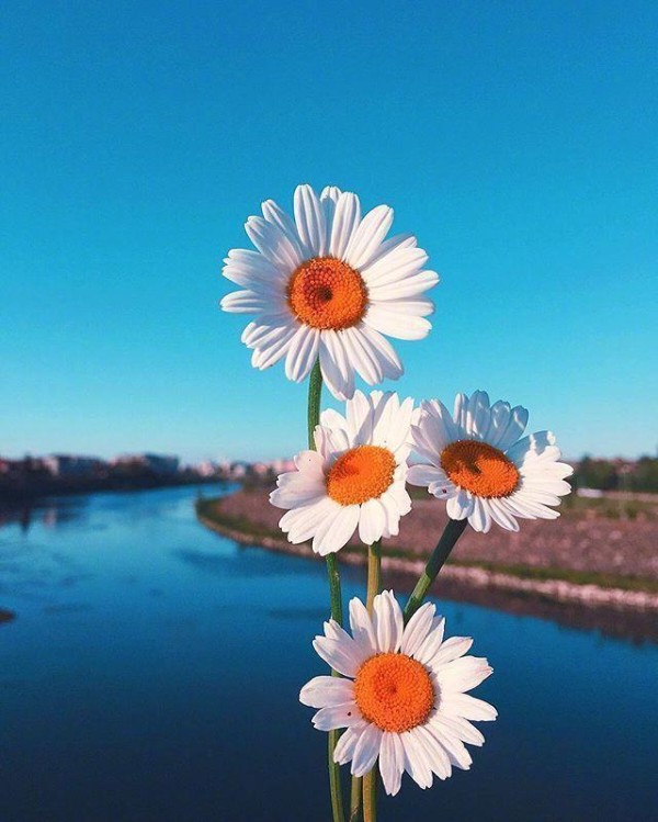 阳光乐观正能量的说说，挑一句激励自己！